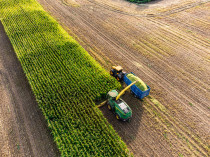 Tractor And Forager Maize Harvesting